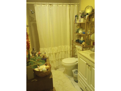 Welcome to this efficient one-bedroom, one-bathroom condominium - photo 11