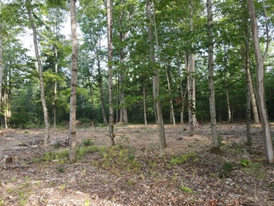 Oaks Pond  Lot For Sale in Skowhegan Maine