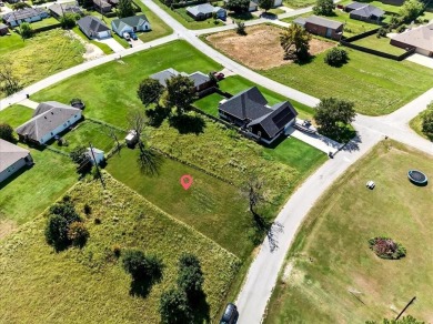 Lake Lot For Sale in Gun Barrel City, Texas