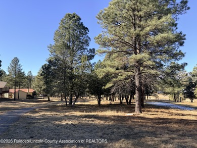 Amazing level lot close to town. Awesome, Mountain views, and - photo 1