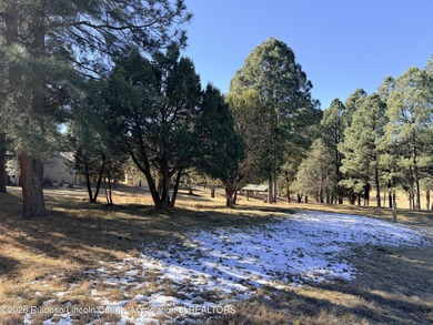 Amazing level lot close to town. Awesome, Mountain views, and - photo 4