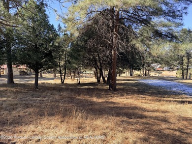 Amazing level lot close to town. Awesome, Mountain views, and - photo 5
