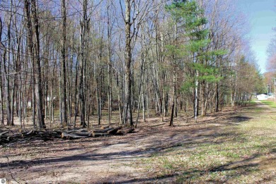 Lake Lot For Sale in Kalkaska, Michigan
