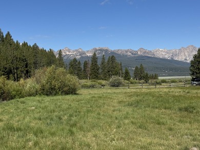 Salmon River - Custer County Acreage For Sale in Stanley Idaho