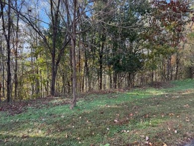 Lake Lot For Sale in Smithville, Tennessee