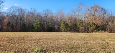 Lake Lot For Sale in Huntingdon, Tennessee