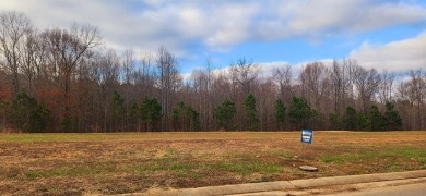 Lake Lot For Sale in Huntingdon, Tennessee