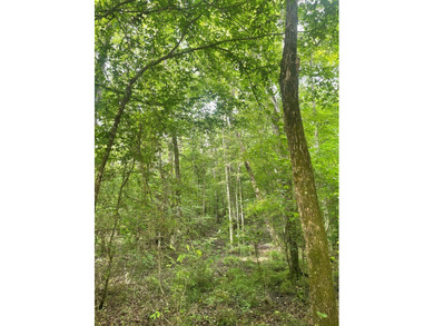 Joe Milam Rd - photo 2