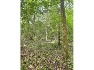 Joe Milam Rd - photo 3