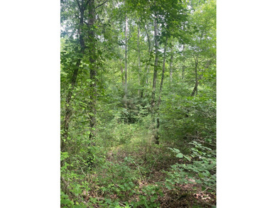 Joe Milam Rd - photo 4