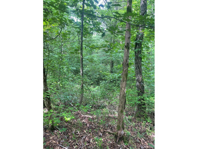 Joe Milam Rd - photo 5