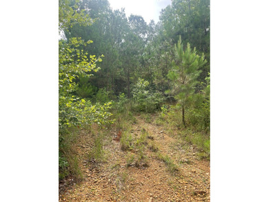 Joe Milam Rd - photo 6