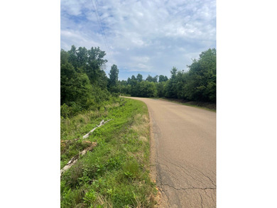 Joe Milam Rd - photo 7
