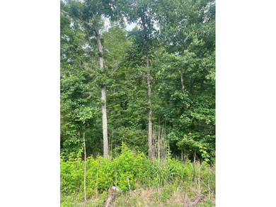 Joe Milam Rd - photo 8