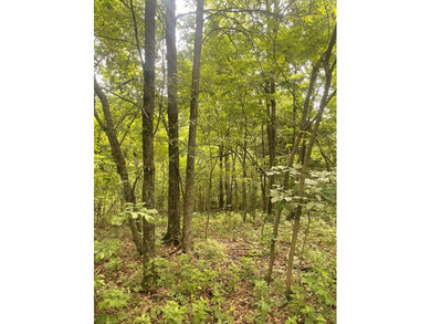 Joe Milam Rd - photo 9