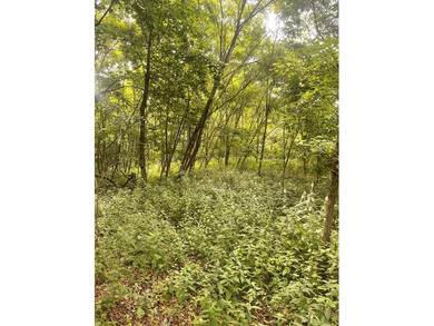 Joe Milam Rd - photo 10