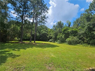 Beautiful Level and mostly Cleared Lot in a well established - photo 2