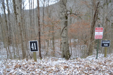 (private lake, pond, creek) Acreage For Sale in Jamestown Tennessee