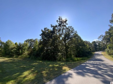 Lake Acreage For Sale in Murray, Kentucky