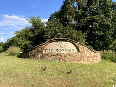 Kentucky Lake Waterfront Building Property Located in Western - photo 2