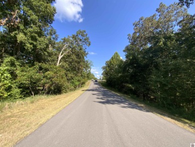Kentucky Lake Waterfront Building Property Located in Western - photo 4