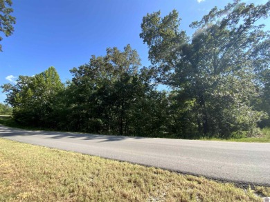 Kentucky Lake Waterfront Building Property Located in Western - photo 5