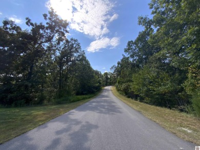 Kentucky Lake Waterfront Building Property Located in Western - photo 6