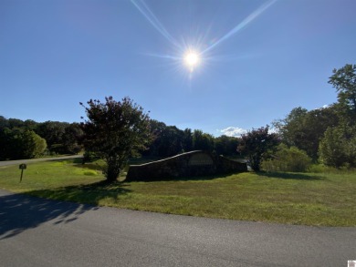 Kentucky Lake Waterfront Building Property Located in Western - photo 10