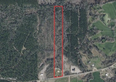 Lake Acreage For Sale in Lumberton, Mississippi