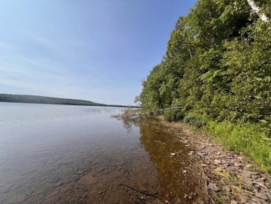Lake Acreage For Sale in Danforth, Maine