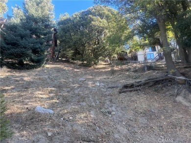 Lake Gregory Lot For Sale in Crestline California