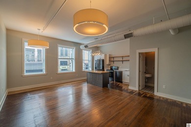 Allows ! Condo unit 3 is a beautifully renovated 2 bedroom, 1.5 - photo 2