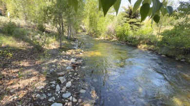(private lake, pond, creek) Lot For Sale in  Idaho