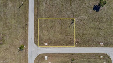 Corner Commercial lot in the heart of Northeast Cape Coral - photo 12