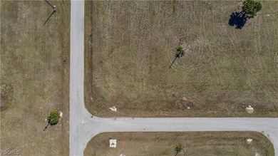 Corner Commercial lot in the heart of Northeast Cape Coral - photo 13