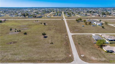 Corner Commercial lot in the heart of Northeast Cape Coral - photo 15