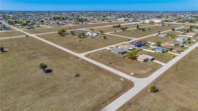 Corner Commercial lot in the heart of Northeast Cape Coral - photo 17