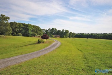 This gated compound is EVERYTHING! Just under 200 acres of the - photo 18