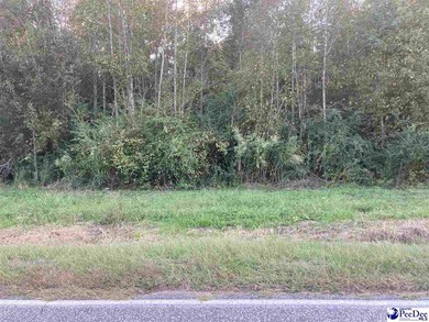 Little Pee Dee River Lot For Sale in Fork South Carolina