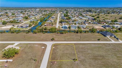 Corner Commercial lot in the heart of Northeast Cape Coral - photo 22
