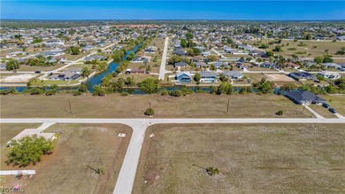 Corner Commercial lot in the heart of Northeast Cape Coral - photo 23