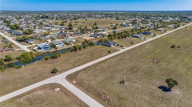 Corner Commercial lot in the heart of Northeast Cape Coral - photo 25