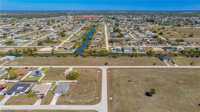 Corner Commercial lot in the heart of Northeast Cape Coral - photo 29