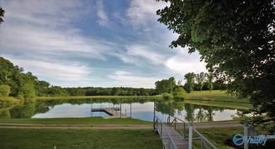 This gated compound is EVERYTHING! Just under 200 acres of the - photo 30