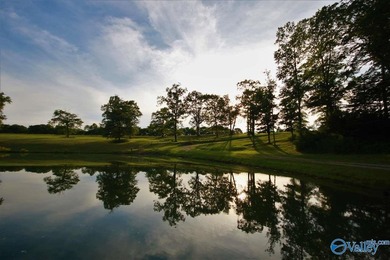 This gated compound is EVERYTHING! Just under 200 acres of the - photo 31