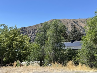 Big Wood River Lot For Sale in Hailey Idaho
