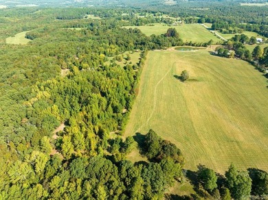 70-Acre Ozark Sanctuary - featuring Luxury Barndominium & - photo 2