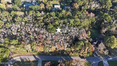 Rare opportunity to own a 1.17-acre lot with dual access from - photo 1