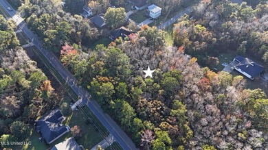 Rare opportunity to own a 1.17-acre lot with dual access from - photo 4