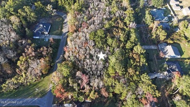 Rare opportunity to own a 1.17-acre lot with dual access from - photo 7